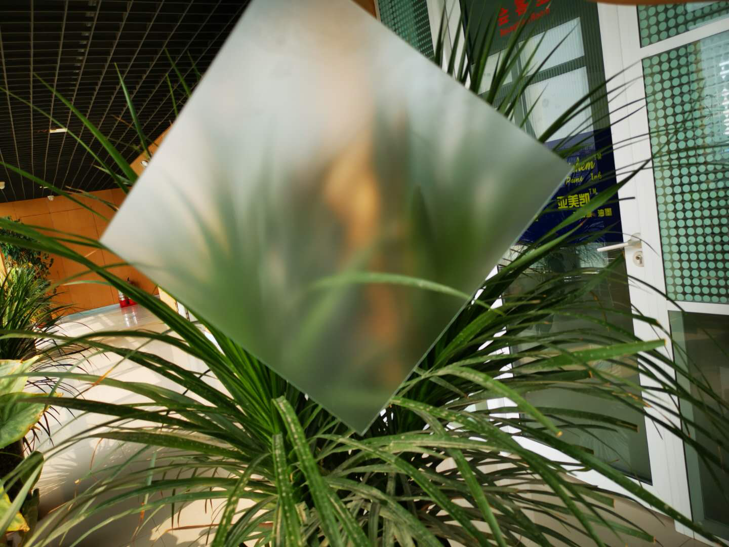 肌肤砂欧宝官方·(中国)网站首页